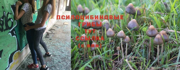шишки Семёнов