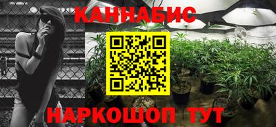 spice Заводоуковск