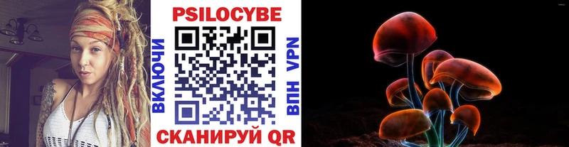закладки  Мценск  Галлюциногенные грибы GOLDEN TEACHER 