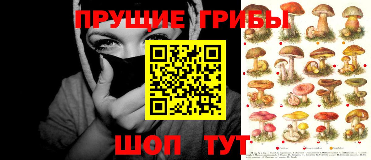 Галлюциногенные грибы прущие грибы  Галлюциногенные грибы мицелий  Мценск  Вход с VPN 